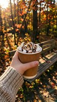 Hand holding hot chocolate with marshmallows and chocolate drizzle in autumn forest setting with warm sunlight and colorful fall foliage background.