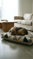 Scruffy terrier dog sleeping curled up on a geometric patterned pet bed in a bright minimalist living room with neutral tones.