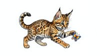 Bengal cat with spotted coat playing with toy mouse, isolated on white background, ready for design projects, clipart, and merchandise applications.