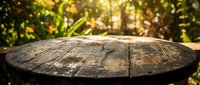 Weathered wooden table surface with natural cracks and splits, blurred forest background with golden sunlight filtering through trees, suitable for product placement and outdoor lifestyle designs.