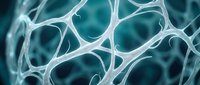 Abstract white neural network structure with interconnected nodes and pathways on turquoise background for medical research and biotechnology presentations.