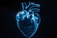 Glowing blue anatomical heart visualization on dark background shows detailed cardiovascular system with ethereal light effect for medical and scientific concepts.