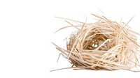 Empty bird nest made from light beige straw and dry grass isolated on white background, natural wildlife habitat detail for nature and seasonal designs.