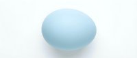 Translucent light blue oval sphere with soft gradient shading and subtle shadow on white background for design, branding, and digital projects.