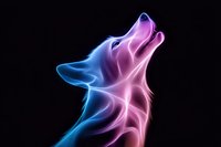 Glowing neon wolf head howling with vibrant blue and pink light effect against black background, artistic digital illustration for modern design projects.