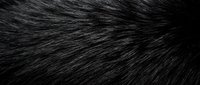Close-up of sleek black hair strands with natural shine and texture, showcasing healthy hair care and beauty concepts for salon and cosmetic applications.