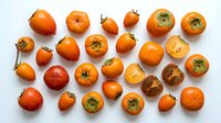 Fresh ripe persimmons collection on white background. Whole and sliced orange fruits showing flesh and seeds. Healthy organic produce for cooking.