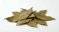 Dried bay leaves arranged on white background, aromatic culinary herbs for cooking, seasoning and flavoring dishes, natural organic spice ingredient.