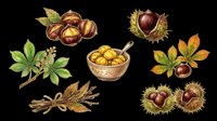 Chestnuts, horse chestnuts, and sweet chestnuts with spiky husks and green leaves isolated on transparent background, ready for t-shirt design, clipart, stickers, and print-on-demand products.