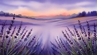 Lavender field at sunset with purple mountains and pink sky creating peaceful countryside landscape for relaxation and aromatherapy concepts.