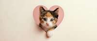 Adorable calico kitten peeking through pink heart-shaped hole on beige background, perfect for Valentine's Day cards, pet adoption campaigns, and love-themed designs.