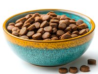 Dry pet food kibbles in turquoise ceramic bowl with golden rim on white background. Close up view of brown round dog food pellets for feeding pets.