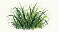 Watercolor grass tuft with green blades on transparent background, isolated botanical element for nature designs and landscaping projects.