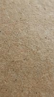 Footprint impression in wet sand showing detailed sole pattern and texture for travel and beach concepts.