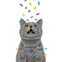 Gray cat with colorful confetti falling around its head and body, mouth open in excitement. Isolated on white background, ready for greeting cards, posters, and festive designs.