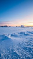 Serene winter landscape with snow-covered field, rolling drifts, and distant trees under soft sunrise sky with pink and blue hues. Use for seasonal campaigns.