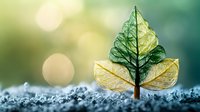 Glowing translucent leaves arranged in tree shape on frost covered ground against blurred bokeh background create environmental concept composition.