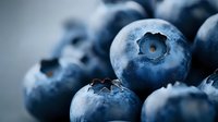 Fresh ripe blueberries macro shot showing detailed texture and natural bloom coating. Dark moody lighting creates depth and highlights juicy berries.