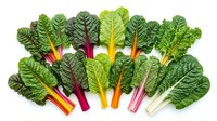Fresh rainbow chard leaves with colorful stems isolated on white background. Organic leafy greens for healthy cooking and nutrition concepts.