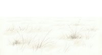 Minimalist grass tufts and wildflowers in soft beige tones on cream background for nature design projects and botanical illustrations.