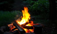 Bright orange campfire flames illuminate dark forest setting with burning logs and metal pot, creating cozy outdoor atmosphere for camping and wilderness cooking.
