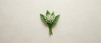 Delicate lily of the valley flowers with green leaves arranged as small bouquet on neutral beige background for spring greeting cards and floral designs.