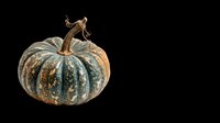 Decorative autumn gourd with textured green and gold striped pattern, isolated on transparent background. Ready for fall designs, t-shirt graphics, stickers, clipart, and print-on-demand products.