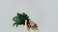 Caucasian hand holding fresh green kale leaves against neutral background, suitable for healthy eating, nutrition, organic food, and wellness design projects.