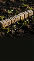 Wooden letter blocks spelling PROJECT on fertile soil with green seedlings sprouting around them symbolizing business growth and development concepts.