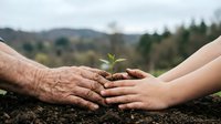 Adult and child hands planting young seedling together in soil with forested mountain landscape background, symbolizing environmental conservation, sustainability, and intergenerational eco-awareness.