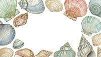 Watercolor seashells frame with scallops, conch shells and marine mollusks on white background. Coastal decoration for summer designs and ocean themed projects.