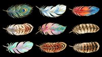 Colorful watercolor feather set isolated on transparent background, ready for stickers, t-shirt design, print on demand, clipart, and sublimation projects.