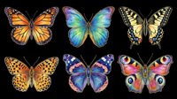 Six colorful butterflies isolated on transparent background, ready for stickers, t-shirt design, print on demand, sublimation, and clipart projects.
