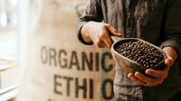 Farmer holding handful of organic coffee beans with burlap sack in background, showcasing raw harvest and sustainable agriculture for food production and trade.