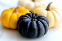 Black, yellow and white decorative pumpkins on light background with selective focus. Seasonal autumn harvest composition for Halloween and fall decor.