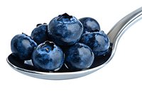 Fresh ripe blueberries on silver spoon against white background, macro shot showing texture and natural shine of berries for food and health concepts.