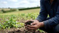 Farmer holding young seedling with soil in hands over cultivated field, representing agriculture, growth, and sustainable farming practices.