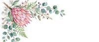 Watercolor protea flower with eucalyptus leaves and ferns on white background, isolated design element for invitations, cards, and wedding stationery projects.