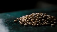 Raw brown lentils scattered on dark turquoise textured surface with shallow depth of field, dramatic moody food photography in natural light.