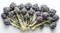 Fresh purple cauliflower heads arranged in fan pattern on white background, showing vibrant stems and florets. Organic produce for healthy eating and food photography.