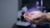 Person holding glowing digital network data in cupped hands with purple light effects and blurred technology background, representing innovation and connectivity.