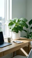 Modern home office workspace with calathea houseplant on wooden desk near window creating productive work environment for remote professionals.