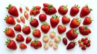 Fresh ripe strawberries and sliced pieces arranged on white background. Isolated berries ready for food, nutrition, recipe design, packaging, and culinary projects.
