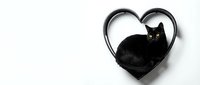 Black cat sitting inside heart-shaped frame on white background. Adorable feline pet portrait for Valentine's Day cards, love themes, and romantic designs.