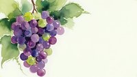 Watercolor grape cluster with green leaves on light background for wine labels, kitchen decor and culinary designs.
