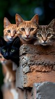 Four curious cats with different fur colors peek out from behind brick wall, creating playful and engaging composition against blurred green background.