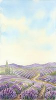 Lavender fields in rolling countryside with winding path, cypress trees, and purple flowering plants under soft blue sky, suitable for travel, agriculture, and nature-themed designs.