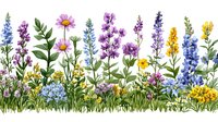 Seamless border with wildflowers and herbs - pink cosmos, purple delphinium, yellow goldenrod, blue lupines. Watercolor meadow arrangement on white background.
