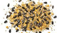 Mixed bird seed blend with sunflower seeds and millet scattered on white background, nutritious pet food for wild birds and backyard feeding stations.
