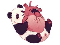 Playful panda bear holding anatomical heart illustration in pink and black tones on white background, artistic concept for medical or educational design.